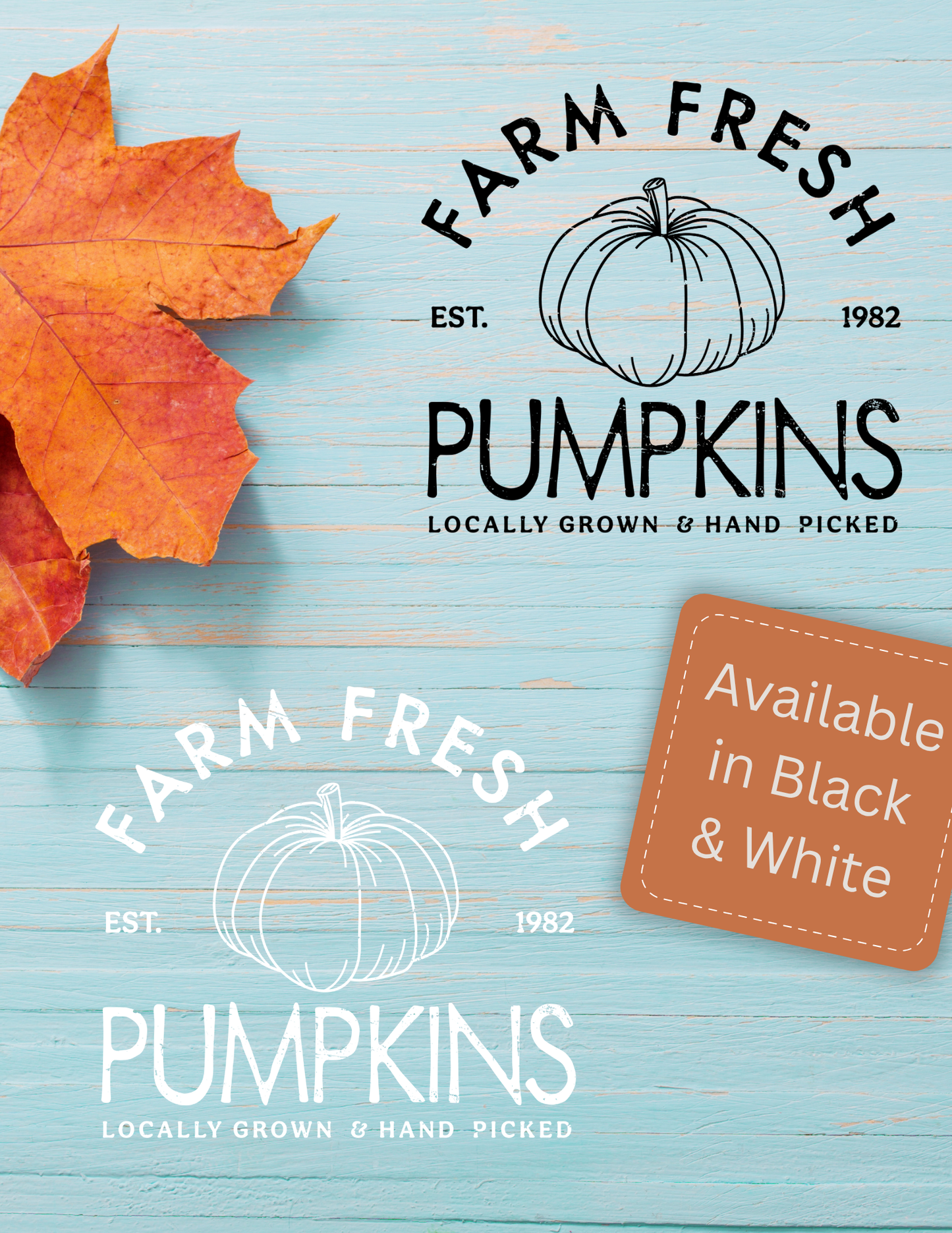Farm Fresh Pumpkins